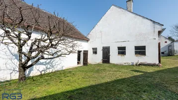 Altes Bauernhaus mit weiß getünchten Wänden und kahlem Baum im Vordergrund unter blauem Himmel.
