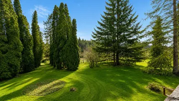 Weitläufiger, gepflegter Garten mit altem Baumbestand und sonnigem Rasenbereich unter blauem Himmel.