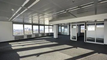 Geräumiges, leeres Büro mit großen Fenstern, Teppichboden und abgehängter Decke, ideal für flexible Arbeitsplatzgestaltung.