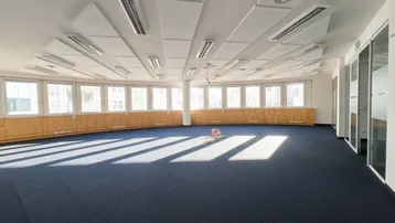 Geräumiges, leeres Büro mit Teppichboden und vielen Fenstern, die viel Tageslicht hereinlassen.
