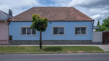 Ansicht der Hausfassade in Hellblau mit traditionellem Ziegeldach und einem kleinen Baum davor.