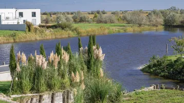 Moderne Architektur am Wasser mit üppiger Vegetation und weitem Blick auf die Landschaft.
