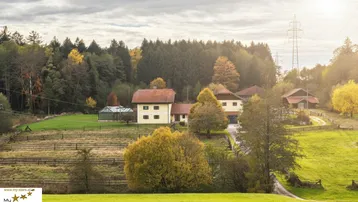 Weitl äufiges Anwesen in ländlicher Umgebung mit Wald und Feldern unter bewölktem Himmel.