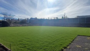 Weitläufige grüne Rasenfläche unter blauem Himmel mit angrenzender Bebauung im Hintergrund.