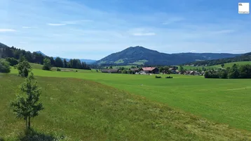 Weitläufige grüne Wiesen und sanfte Hügel mit einem Dorf im Tal unter einem strahlend blauen Himmel.