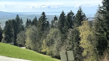 Panoramablick über eine grüne Hügellandschaft mit Wald und einem See in der Ferne.
