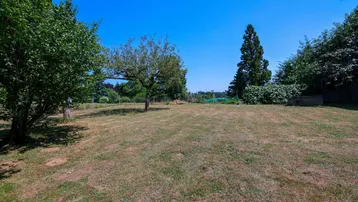 Großer, sonniger Garten mit Rasenfläche und Obstbäumen unter blauem Himmel.