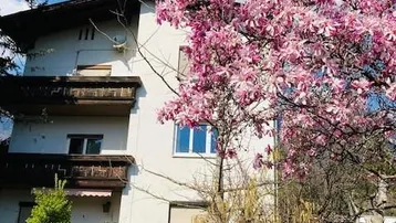 Ansicht des Hauses mit blühendem Baum im Vorgarten unter blauem Himmel.