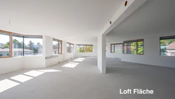 Helle, offene Loftfläche mit vielen Fenstern und hohen Decken, bereit für den Ausbau.
