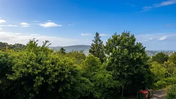 Weitläufiger Blick über grüne Bäume auf eine hügelige Landschaft in der Ferne.