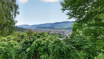 Panoramablick auf die Stadt und die Berge, eingerahmt von üppigem Grün der Bäume.