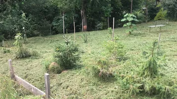 Gepflegter Gartenbereich mit frisch gemähtem Rasen, jungen Bäumen und einer Sitzbank im Grünen.