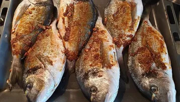 Expose Tolle Fischzuchtanlage nähe Schärding zu verkaufen!