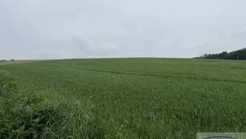 Expose Acker mit guter Bonität! 