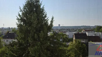 Weitläufiger Ausblick über grüne Bäume und die Dächer der Stadt in der Ferne.