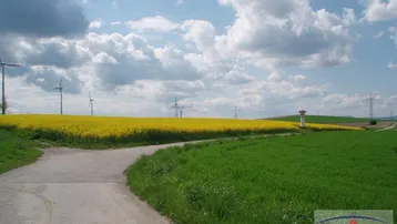 Landstraße durch grüne und gelbe Felder mit Windrädern und Strommasten unter bewölktem Himmel.