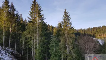 Expose Wald mit ca. 11,5 ha im Bezirk Neunkirchen!