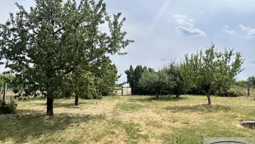 Großer Gartenbereich mit altem Baumbestand und weitläufiger Rasenfläche unter bewölktem Himmel.
