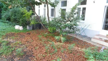 Gartenbereich mit Bäumen und Laub vor einer weißen Hausfassade mit Fenstern und Zugangstür.