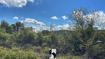 Panoramablick auf die grüne Landschaft mit einem Gebäude in der Ferne unter blauem Himmel.