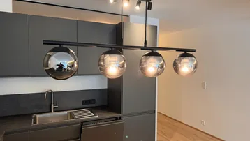 Moderne Küche mit dunklen Schränken, integrierten Geräten und stilvoller Pendelleuchte über der Arbeitsfläche.