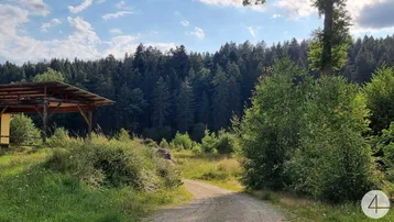 Ländliche Szene mit einem Feldweg, der zu einem Wald führt, und einem einfachen Holzunterstand.