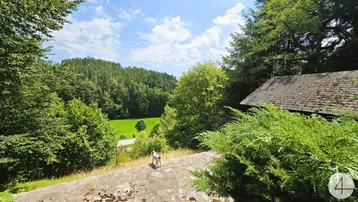 Malerischer Ausblick über grüne Hügel und Wälder von der Anhöhe des Grundstücks.