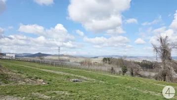 Weitläufige Landschaft mit grünen Feldern, Weinbergen und einem weiten Blick in die Ferne unter blauem Himmel.