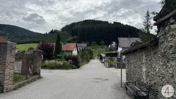 Blick auf eine Dorfstraße mit Wohnhäusern und bewaldeten Hügeln im Hintergrund unter bewölktem Himmel.