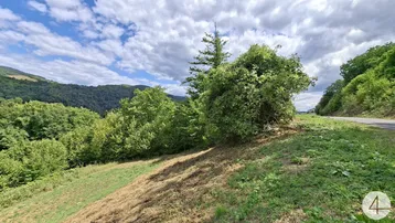 Panoramablick auf die grüne Hügellandschaft mit bewaldeten Bergen und einer Landstraße.