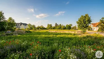 Weitläufiges grünes Feld mit bunten Wildblumen im Vordergrund und Wohnhäusern im Hintergrund unter blauem Himmel.