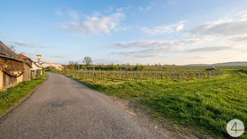 Ländliche Straße neben einem Weinberg mit traditionellen Gebäuden unter einem weiten Himmel.