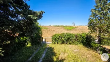 Weitläufiger Blick über eine trockene Landschaft mit Bäumen und einem Zaun im Vordergrund.