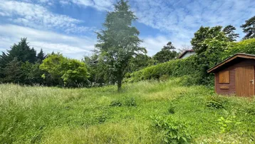 Weitläufiges Gartengrundstück mit viel Grün, einem Baum und einem kleinen Holzschuppen unter blauem Himmel.