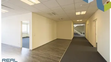 Heller Flur mit Teppichboden und Zugang zu mehreren Büroräumen, ausgestattet mit Rasterdeckenleuchten.