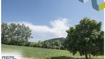 Weitläufige grüne Wiesen und Bäume unter blauem Himmel, typisch für die ländliche Umgebung.