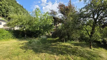Großer Gartenbereich mit altem Baumbestand und viel Grün, ideal für Naturliebhaber.