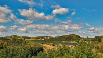 Weitläufige Landschaft mit grünen Hügeln und Weinbergen unter einem blauen Himmel mit weißen Wolken.