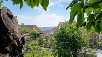 Idyllischer Gartenbereich mit üppigem Grün, blühenden Pflanzen und Fernblick über die Dächer.