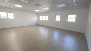 Heller, leerer Raum mit vielen Fenstern und modernem Laminatboden, ideal als Büro oder Gewerbefläche.