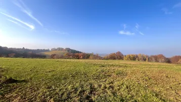 Weitläufige grüne Landschaft mit sanften Hügeln und herbstlichen Bäumen unter klarem blauem Himmel.