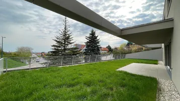 Gepflegte Rasenfläche mit kleiner Terrasse vor einem modernen Gebäude unter bewölktem Himmel.