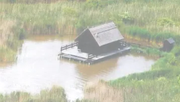 Luftaufnahme eines kleinen Holzhauses auf einem See, umgeben von dichtem Schilf.