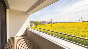 Heller Balkon mit Holzboden und weitem Blick über ein gelbes Rapsfeld.
