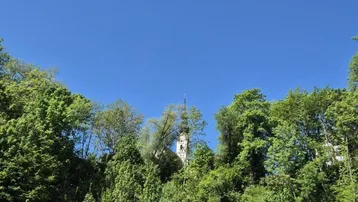 Kirchturmspitze ragt durch dichtes Grün der Bäume hervor unter einem klaren blauen Himmel.