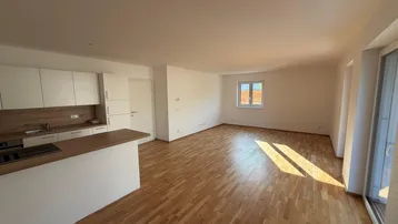 Heller offener Wohnbereich mit integrierter Küche, Holzboden und Zugang zur Terrasse.