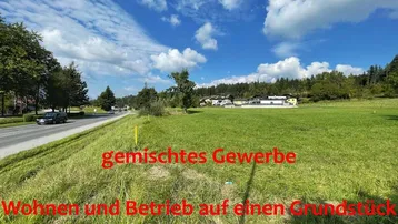 Blick auf ein grünes Grundstück neben einer Straße mit Häusern und Bäumen im Hintergrund unter blauem Himmel.