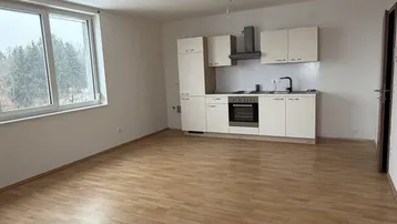 Heller offener Wohnbereich mit integrierter Küchenzeile und Laminatboden.