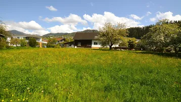 Weitläufige grüne Wiese mit blühenden Blumen und Häusern im Hintergrund unter blauem Himmel.