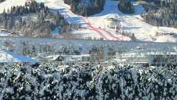 Winterliche Berglandschaft mit verschneiten Skipisten und Hecke im Vordergrund.